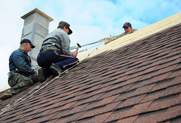 Best Storm Damage Roof Repair  in Bellevue, PA